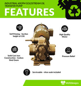 Industrial 60gpm Goldstream Oil Transfer Pump  10hp motor
