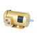Industrial 60gpm Goldstream Oil Transfer Pump  10hp motor