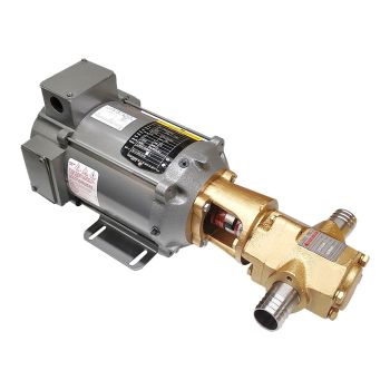 Monster 12 GPM Bare Pump - 1/2hp, 12V